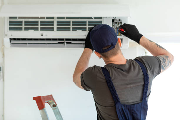 Best Air Duct Mold Removal  in Winsted, CT